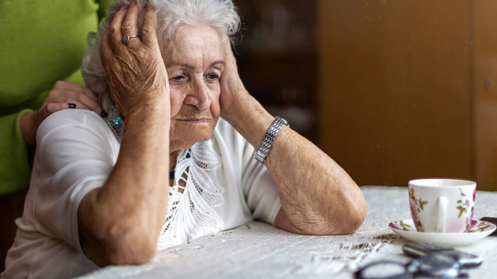 Navigating the Aging Mind